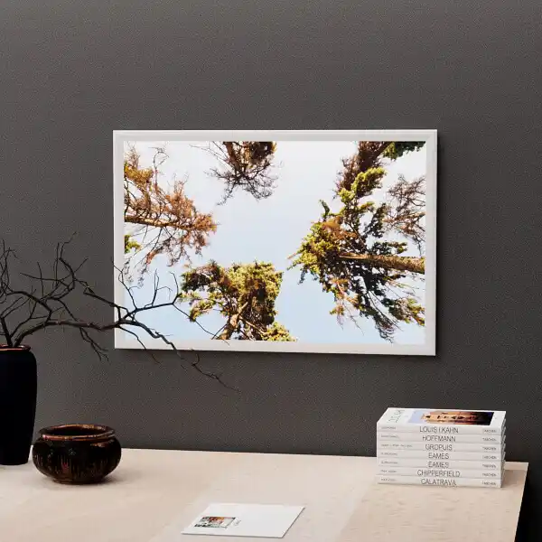 Snap Frame LED Light Box - Indoor Wall Mounted
